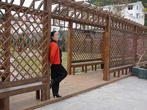 我的眼里只有你 11.12金斗觀照片